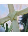 Palm Sunday and Easter
