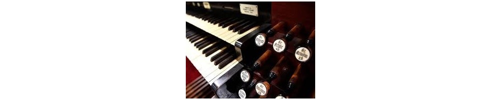Organ