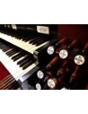 Organ