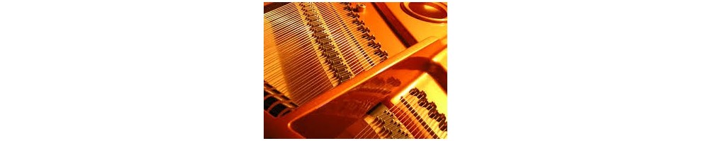 Piano or Keyboard
