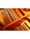 Piano or Keyboard