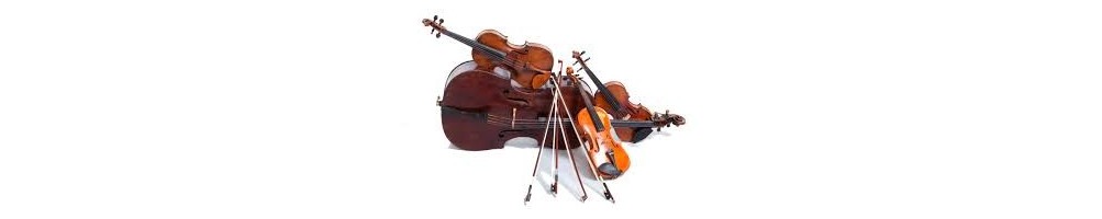 Strings